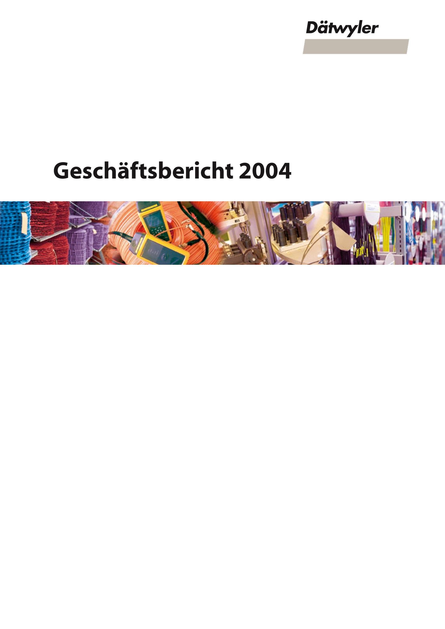 Annual Report 2004