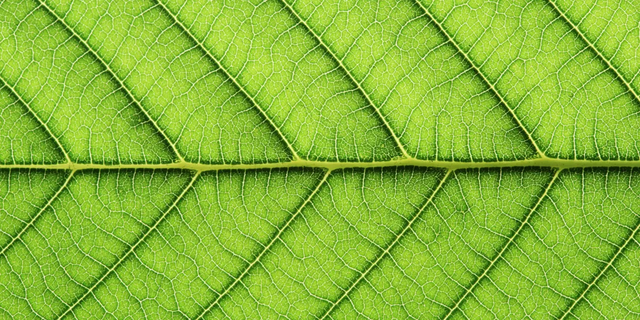 Sustainability Report 2024