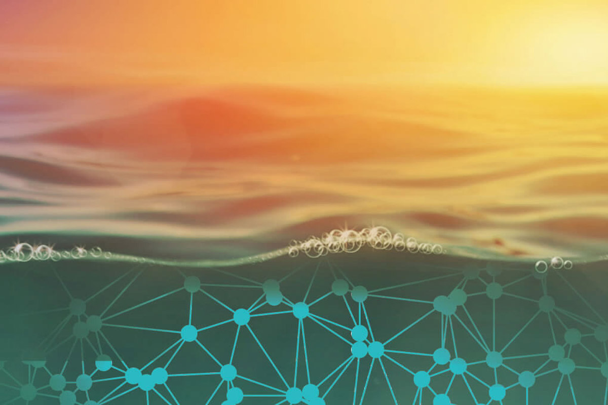 PDA Annual Meeting 2024